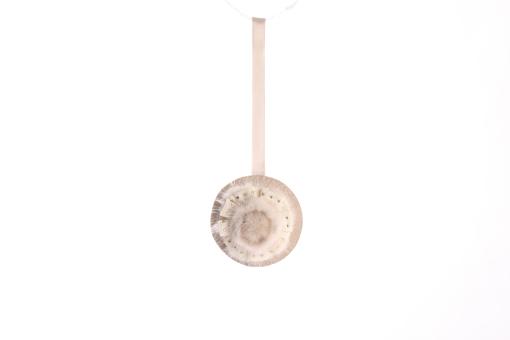 Rosenanhänger mit Satinband 
